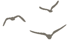 书房记：简而不减的清欢(图6)